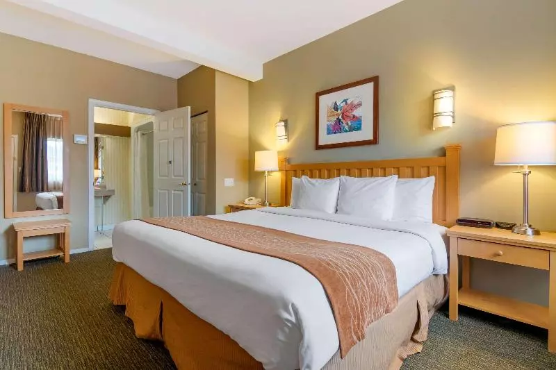 اتاق استاندارد با تخت بزرگ, Econo Lodge Inn & Suites