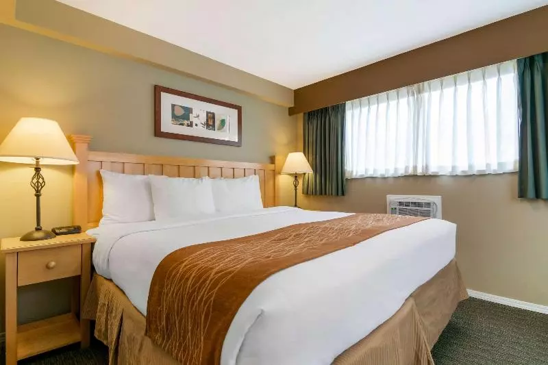 اتاق استاندارد با تخت بزرگ, Econo Lodge Inn & Suites