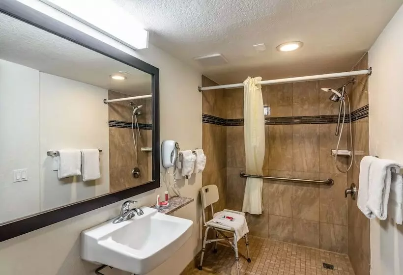 اتاق استاندارد با تخت بزرگ برای معلولان, Glenridge Inn Glendale  Pasadena