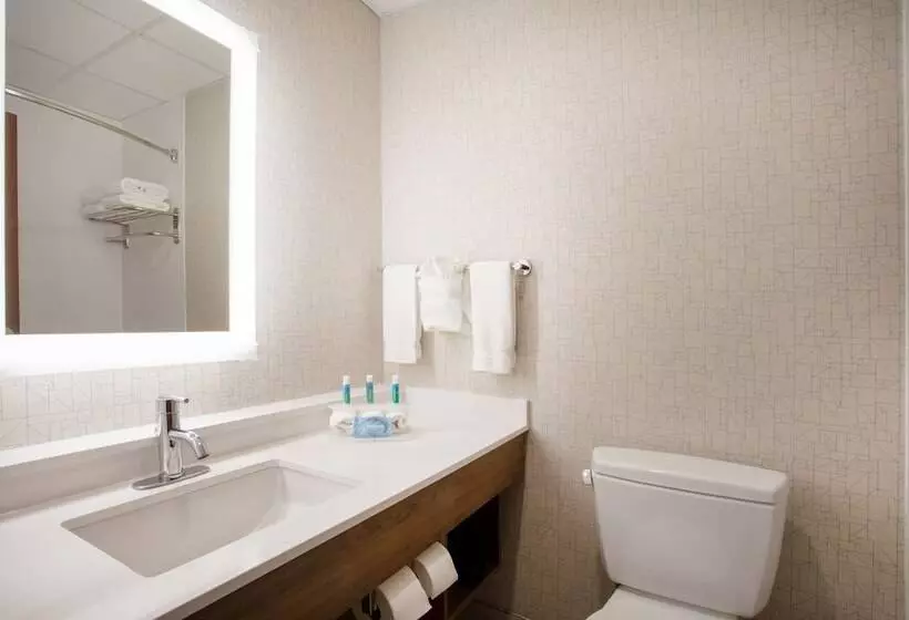 اتاق استاندارد, Holiday Inn Express   Harrisburg East By Ihg