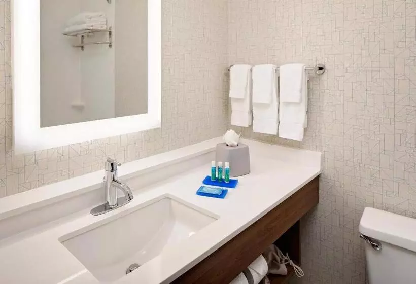 اتاق استاندارد برای معلولان, Holiday Inn Express   Harrisburg East By Ihg