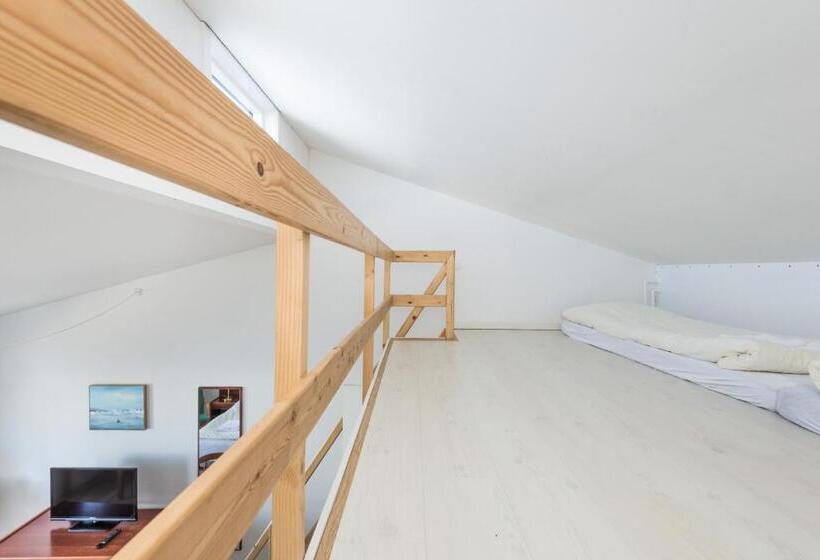 스탠다드 스튜디오 바다 전망, Hvide Falk