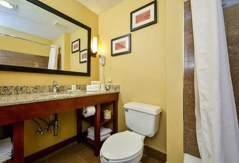 スイート, Mainstay Suites Joliet I55