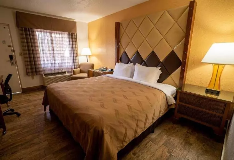 キングサイズベッドのスタンダードルーム, Quality Inn Florida City  Gateway To The Keys