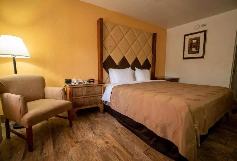 キングサイズベッドのスタンダードルーム, Quality Inn Florida City  Gateway To The Keys