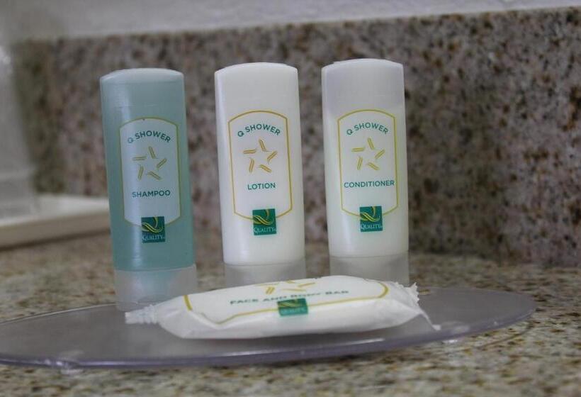 스탠다드 룸 킹사이즈 침대, Quality Inn Florida City  Gateway To The Keys