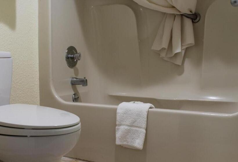 스탠다드 룸 킹사이즈 침대, Quality Inn Florida City  Gateway To The Keys