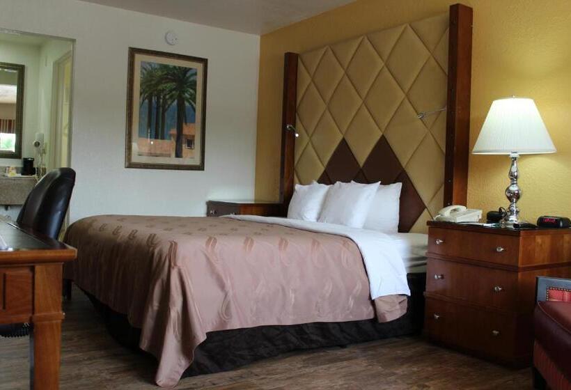 스탠다드 룸 킹사이즈 침대, Quality Inn Florida City  Gateway To The Keys