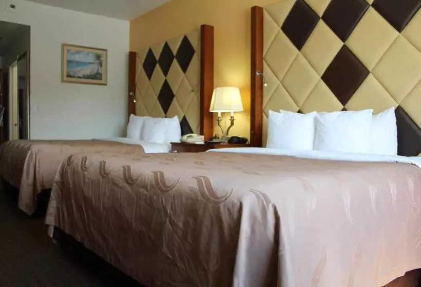 スタンダードインサイドビュールーム, Quality Inn Florida City  Gateway To The Keys