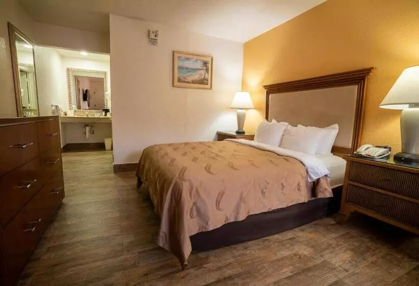 身障者適用スタンダードルーム, Quality Inn Florida City  Gateway To The Keys