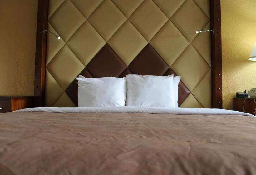 스탠다드 룸 킹사이즈 침대, Quality Inn Florida City  Gateway To The Keys