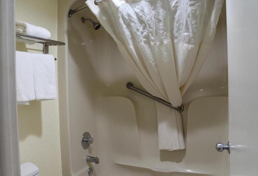 스탠다드 룸 킹사이즈 침대, Quality Inn Florida City  Gateway To The Keys