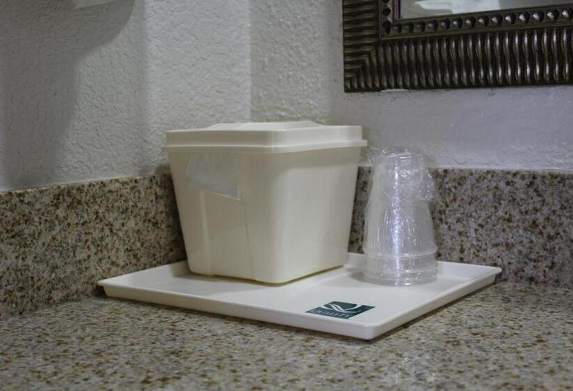 스탠다드 룸 킹사이즈 침대, Quality Inn Florida City  Gateway To The Keys