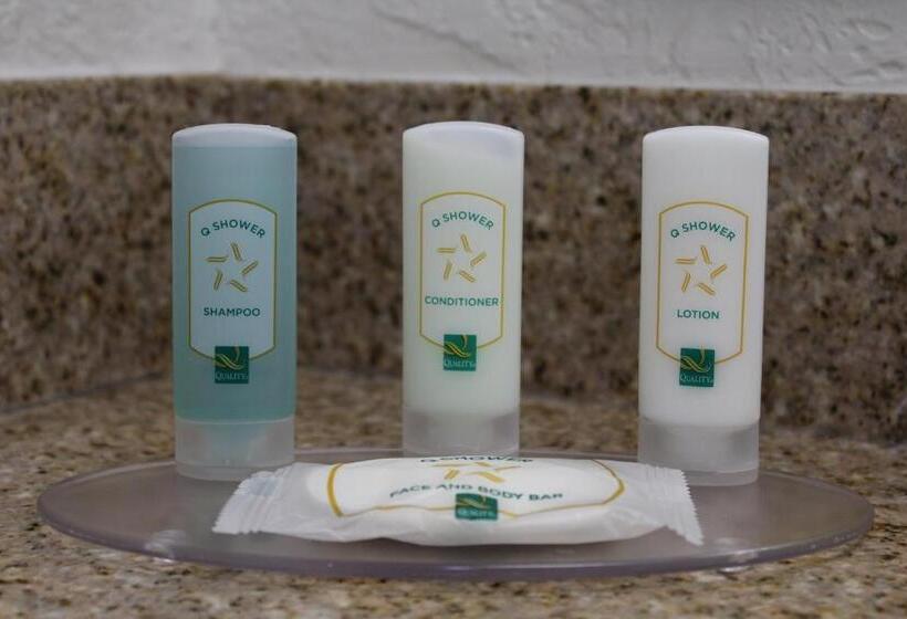 장애인을 위한 킹사이즈 침대 스탠다드 룸, Quality Inn Florida City  Gateway To The Keys