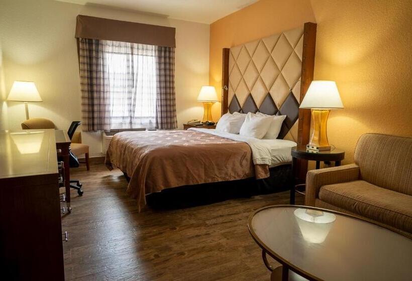 스탠다드 룸 킹사이즈 침대, Quality Inn Florida City  Gateway To The Keys