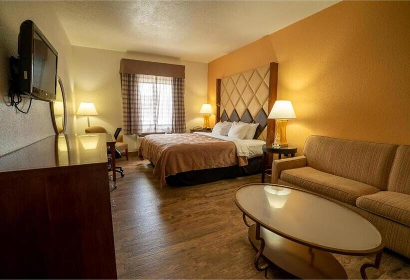 스탠다드 룸 킹사이즈 침대, Quality Inn Florida City  Gateway To The Keys