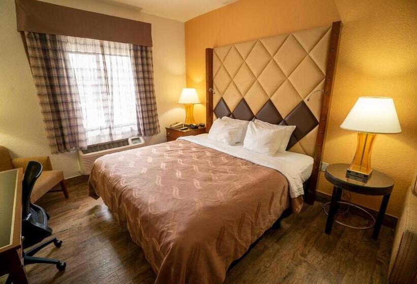 스탠다드 룸 킹사이즈 침대, Quality Inn Florida City  Gateway To The Keys