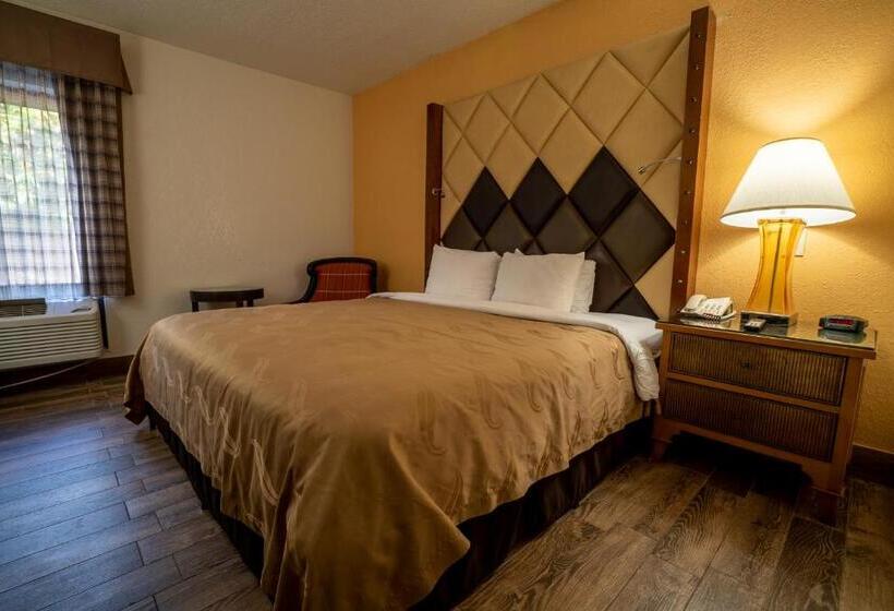 장애인을 위한 킹사이즈 침대 스탠다드 룸, Quality Inn Florida City  Gateway To The Keys