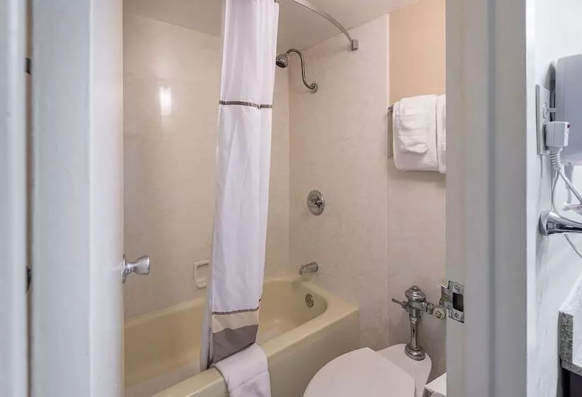 اتاق استاندارد با 2 تخت دوبل, Quality Inn University Lansing