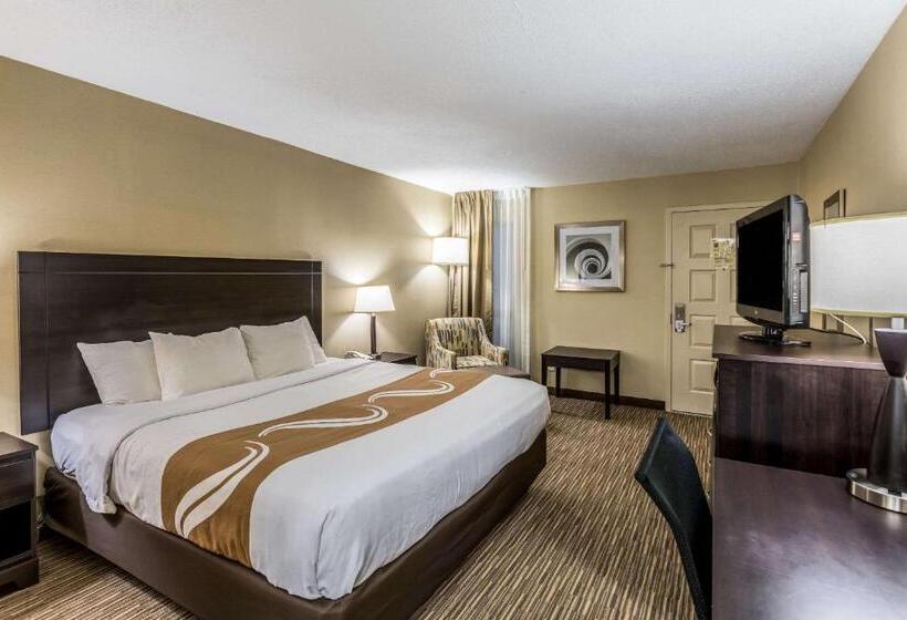 스탠다드 룸 킹사이즈 침대, Quality Inn University Lansing