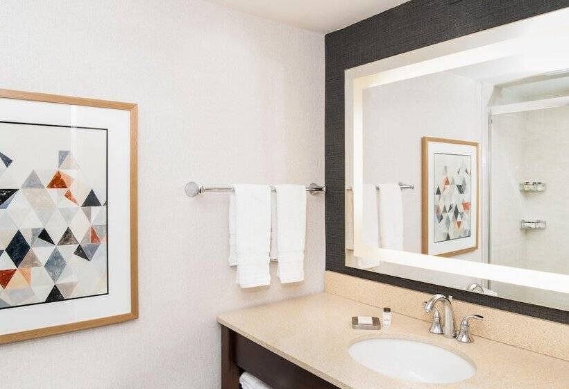 디럭스 룸, Sheraton Ann Arbor