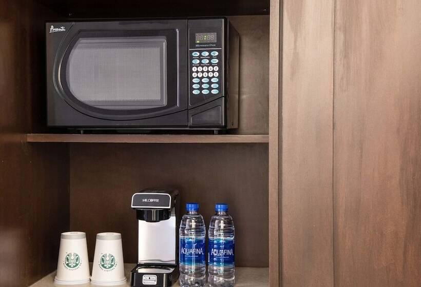 장애인을 위한 스탠다드 룸, Sheraton Ann Arbor