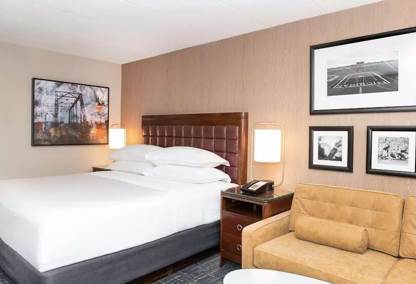 اتاق استاندارد برای معلولان, Sheraton Ann Arbor