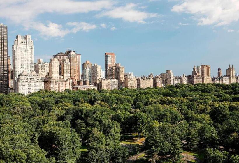 高级套房, The Ritz Carlton New York, Central Park