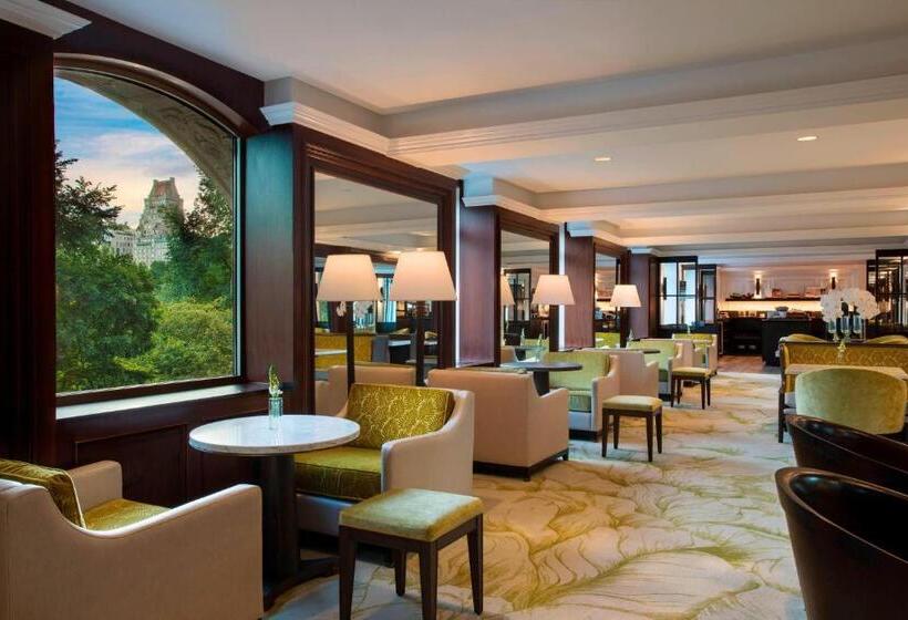 高级套房, The Ritz Carlton New York, Central Park