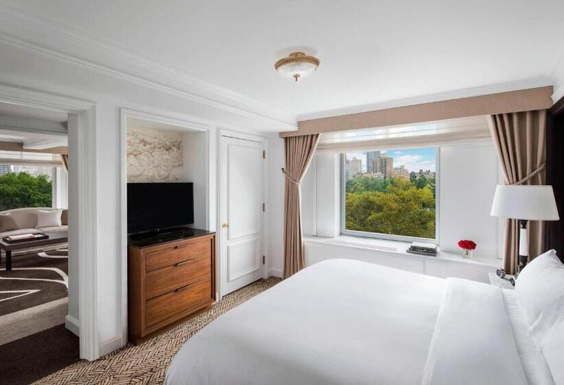 سوئیت کلاب, The Ritz Carlton New York, Central Park