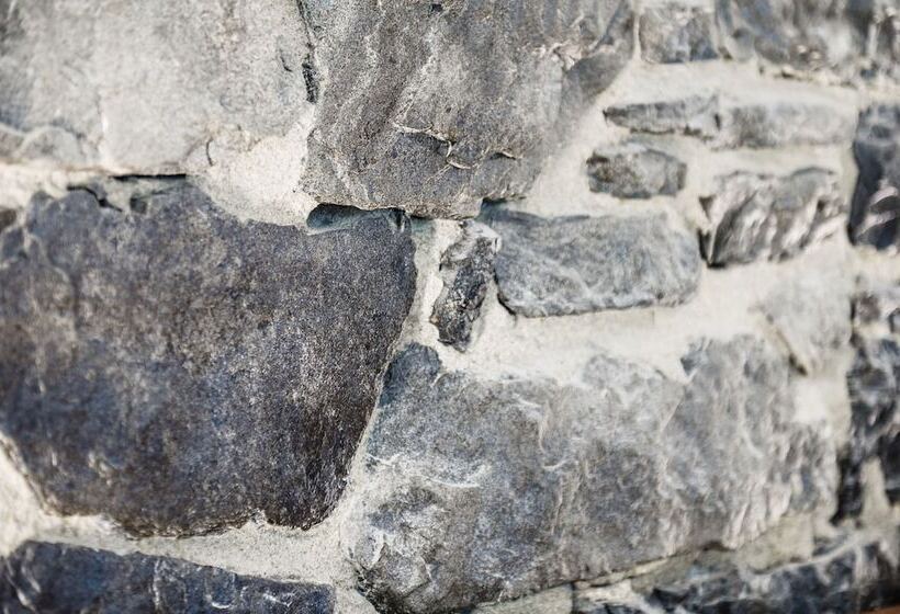 اتاق سوپریور, C3 Hotel Art De Vivre