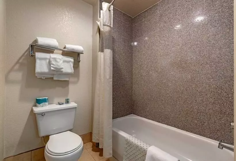 اتاق استاندارد, Best Western Orchard Inn