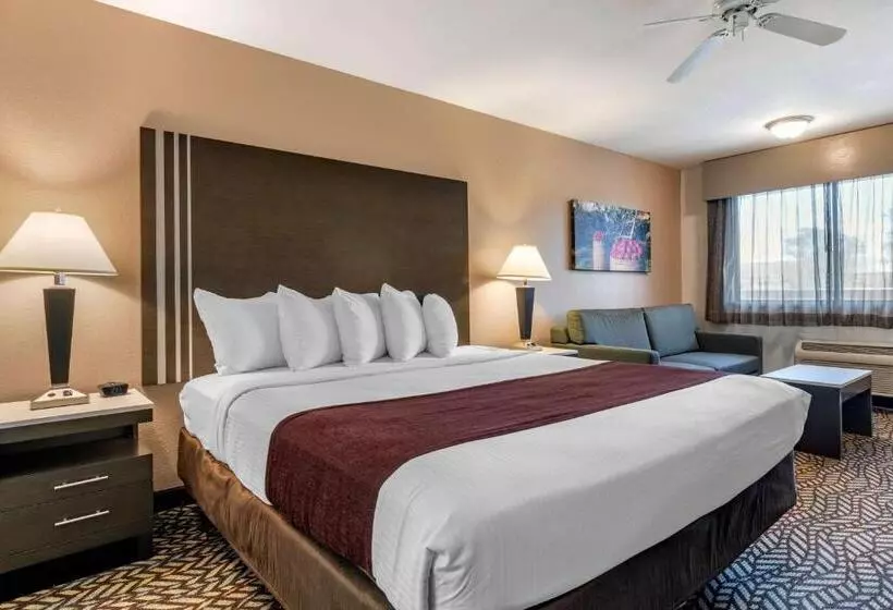 اتاق کلاس بیزنس, Best Western Orchard Inn