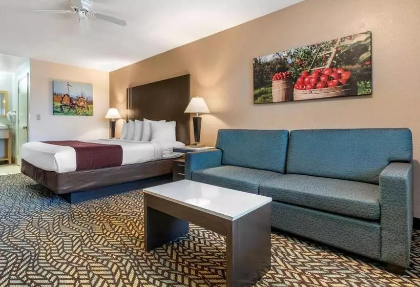 اتاق استاندارد با تخت بزرگ برای معلولان, Best Western Orchard Inn