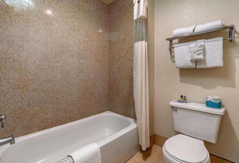 غرفة ديلوكس سرير كينج, Best Western Orchard Inn