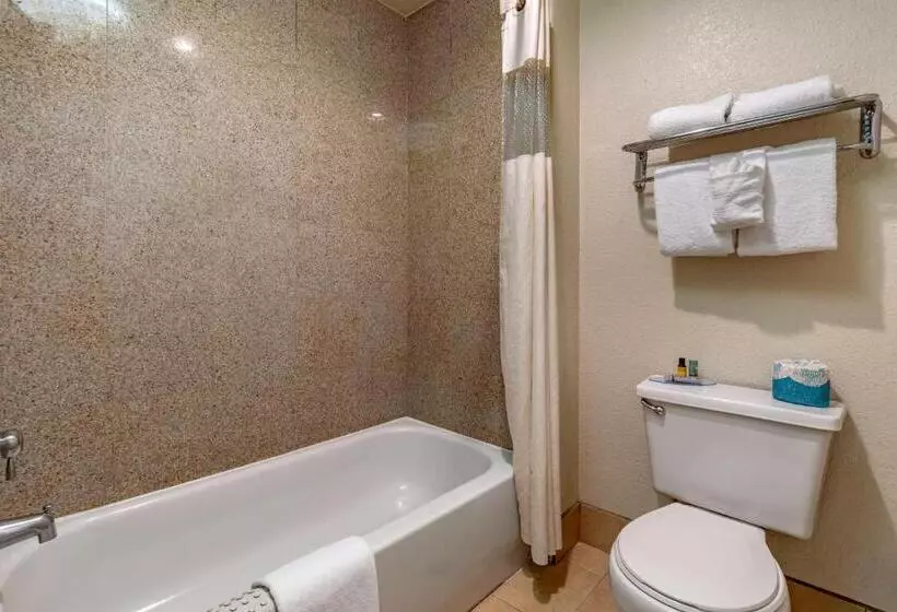 اتاق لوکس با تخت بزرگ, Best Western Orchard Inn