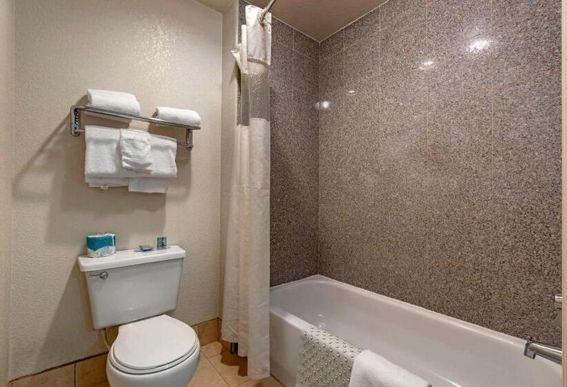 带大床的豪华间, Best Western Orchard Inn