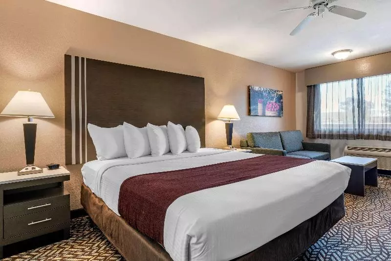 اتاق استاندارد با تخت بزرگ برای معلولان, Best Western Orchard Inn