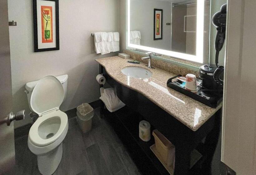 Standard Szoba King Size Bed, Clarion Pointe Near University