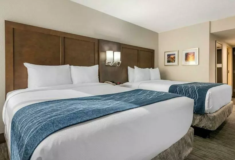 اتاق استاندارد, Comfort Inn & Suites Downtown Brickell Port Of Miami