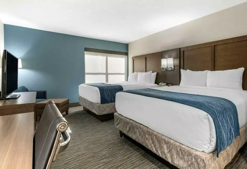 اتاق استاندارد, Comfort Inn & Suites Downtown Brickell Port Of Miami