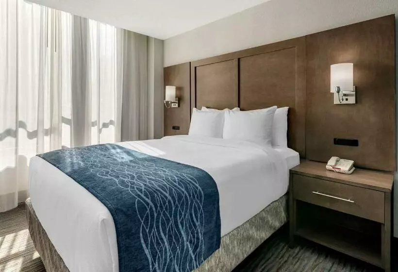 اتاق استاندارد, Comfort Inn & Suites Downtown Brickell Port Of Miami