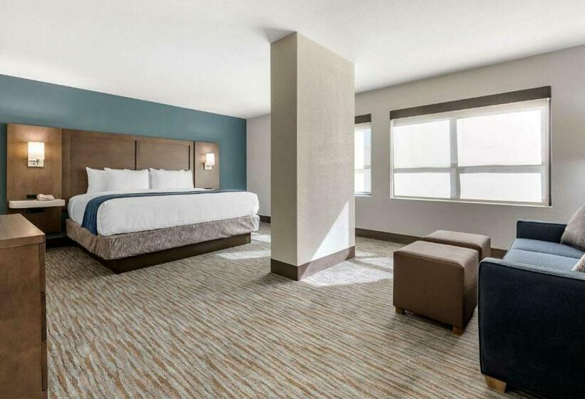带大床的标准间, Comfort Inn & Suites Downtown Brickell Port Of Miami