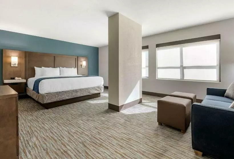 اتاق استاندارد با تخت بزرگ, Comfort Inn & Suites Downtown Brickell Port Of Miami