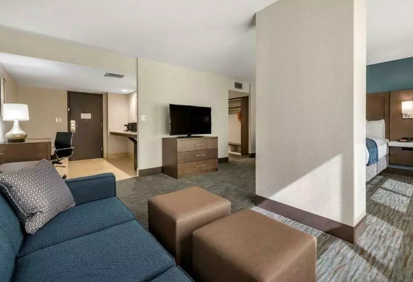 اتاق استاندارد با تخت بزرگ, Comfort Inn & Suites Downtown Brickell Port Of Miami
