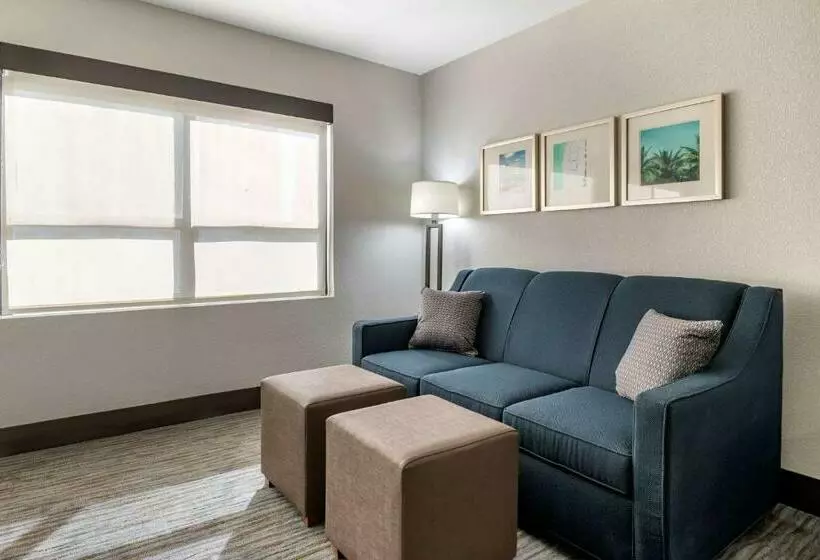اتاق استاندارد با تخت بزرگ, Comfort Inn & Suites Downtown Brickell Port Of Miami