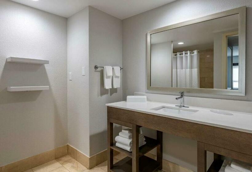 غرفة قياسية سرير كينج, Comfort Inn & Suites Downtown Brickell Port Of Miami