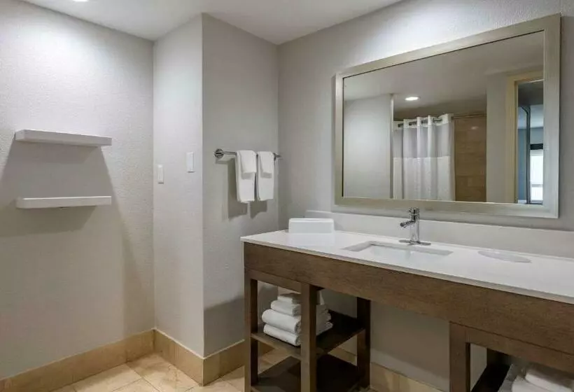اتاق استاندارد با تخت بزرگ, Comfort Inn & Suites Downtown Brickell Port Of Miami