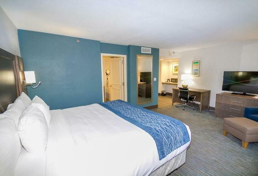 غرفة قياسية سرير كينج, Comfort Inn & Suites Downtown Brickell Port Of Miami