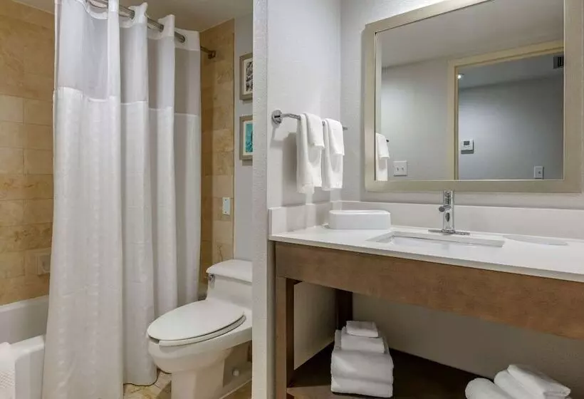 اتاق استاندارد با 2 تخت دوبل, Comfort Inn & Suites Downtown Brickell Port Of Miami